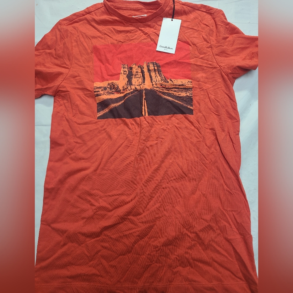 Men's Short Sleeve Graphic T-Shirt Goodfellow & Co Dark Orange Small